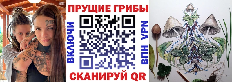 площадка какой сайт ссылка на мегу зеркало Безенчук Галлюциногенные грибы Magic Shrooms
